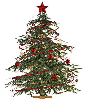 Christmas Fir Tree Png Transparent Image (green, black)