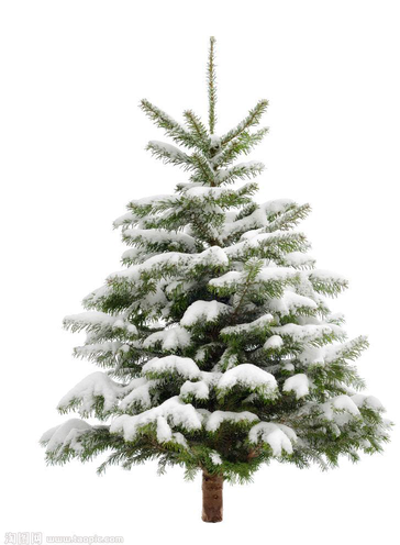 Christmas Fir Tree Png Transparent Picture (black, silver)