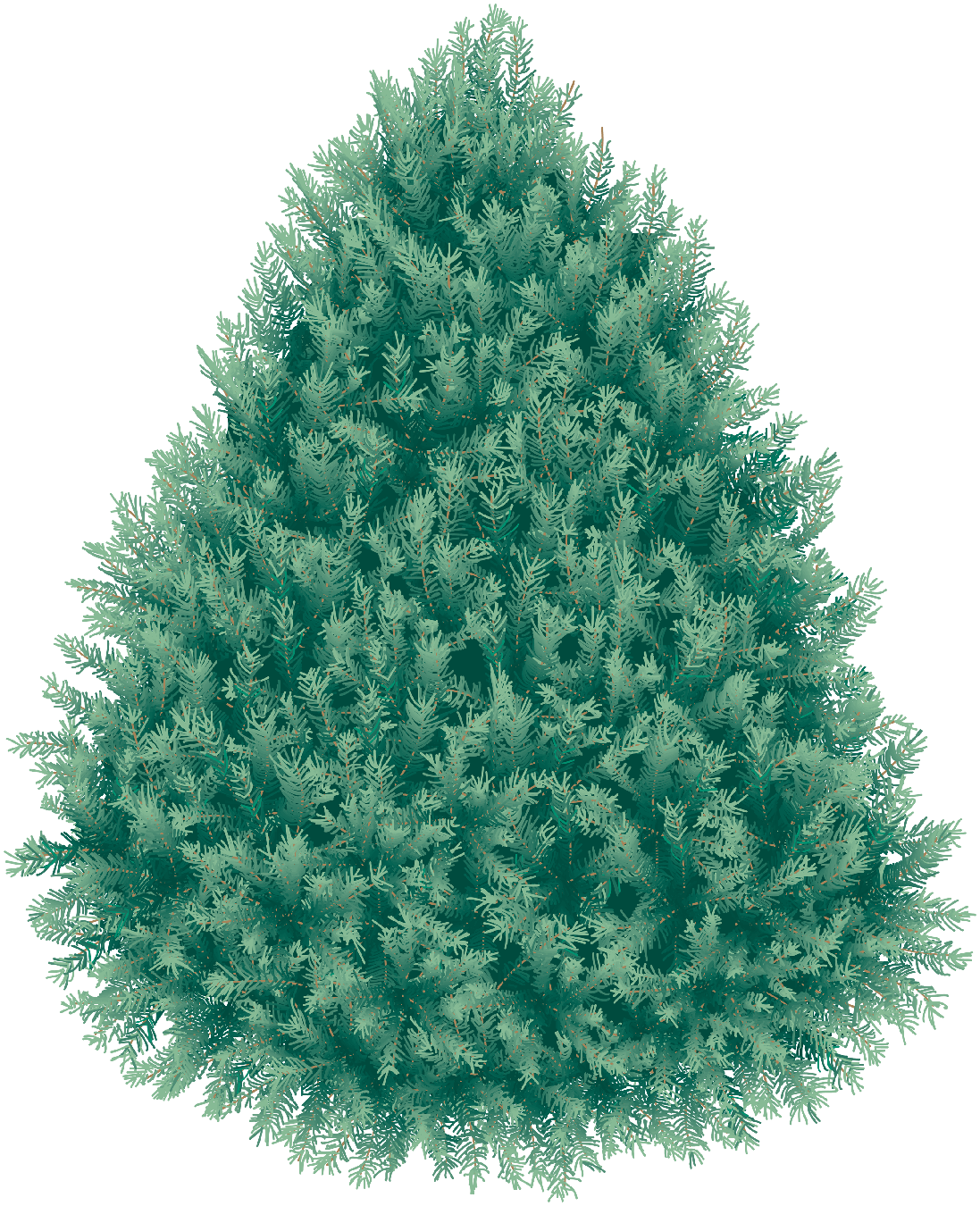 Christmas Fir Tree Real Png (teal, black, gray)