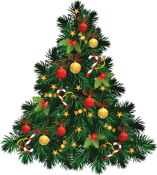 Christmas Fir Tree Transparent Background (black)