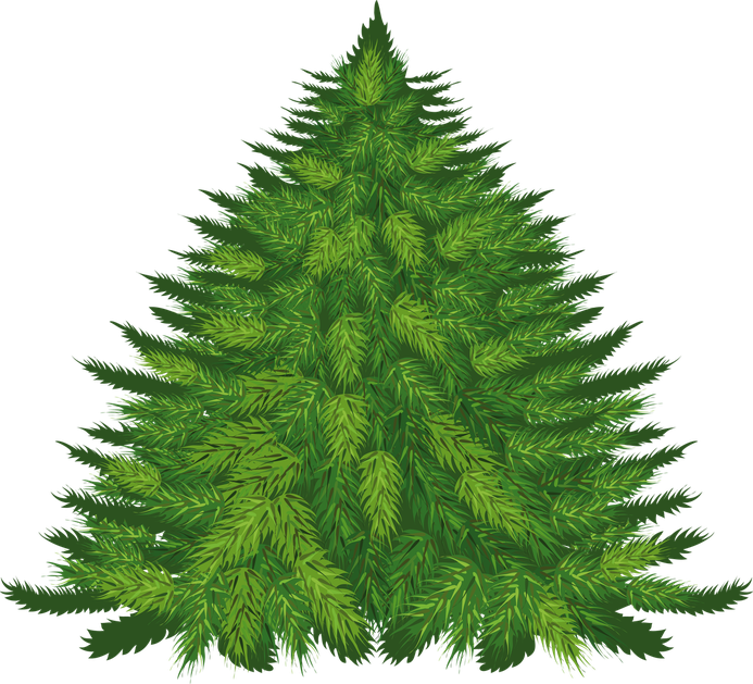 Christmas Fir Tree Vector Png (green, black)