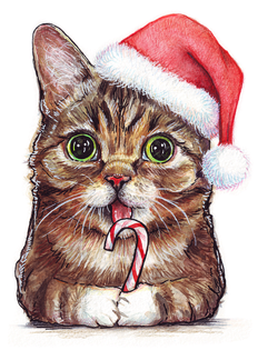 Christmas Kitten Png Clipart (black, salmon)