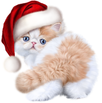 Christmas Kitten Png Photos (black, white, lavender)