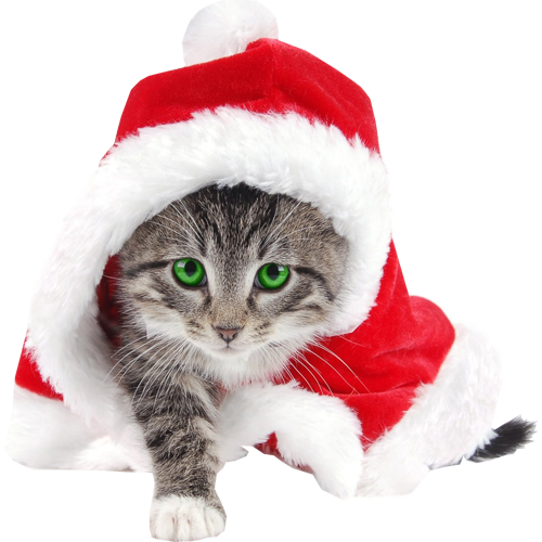 Christmas Kitten Png Pic (white, pink, beige, lavender)