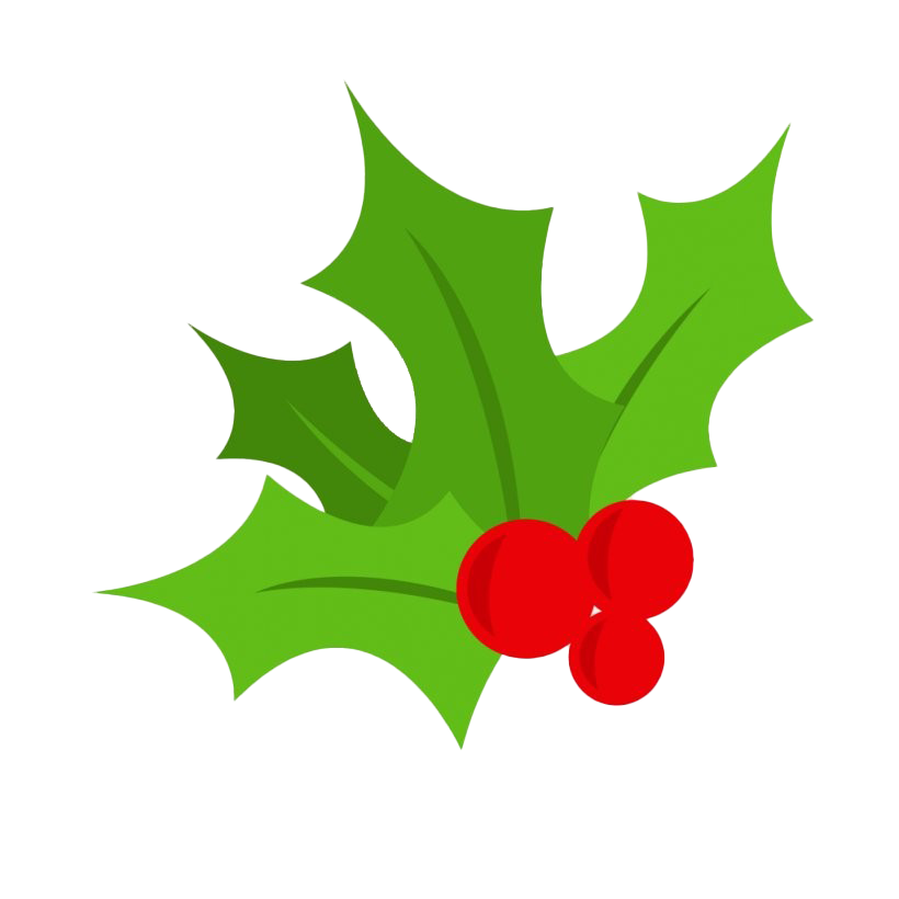 Christmas Mistletoe Png Clipart (white, olive, red)