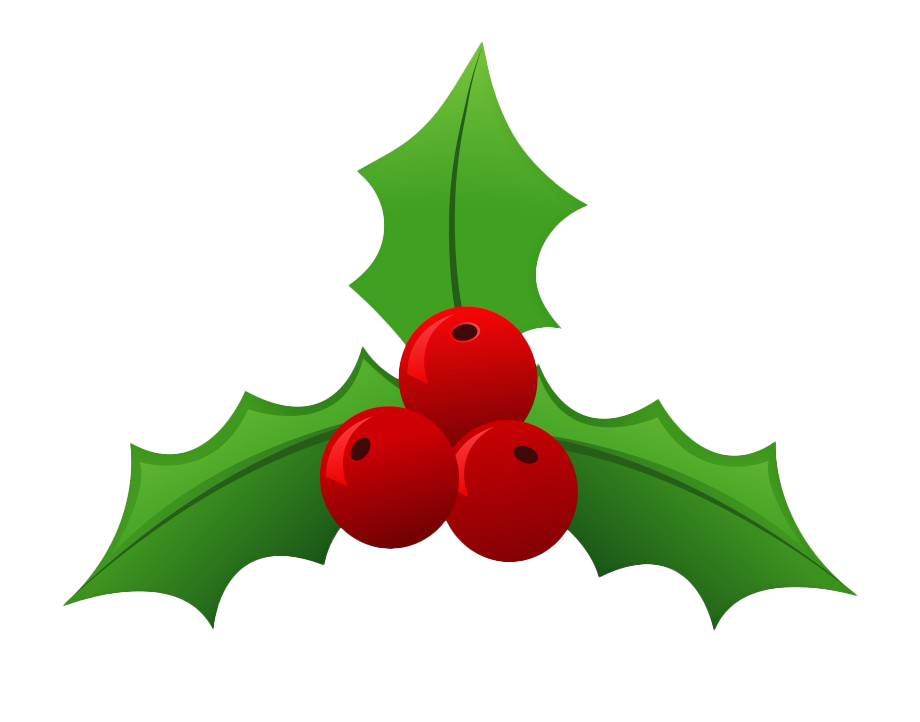 Christmas Mistletoe Png File (white, olive, green)