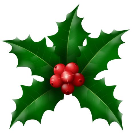 Christmas Mistletoe Png Image (green, black)