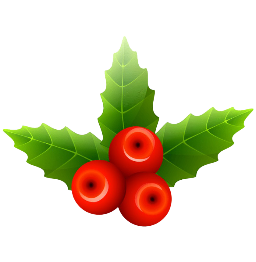 Christmas Mistletoe Png Transparent Image (white, red, green, maroon)