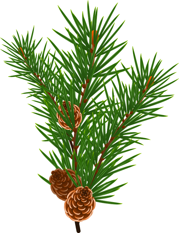 Christmas Pine Cone Download Png Image (gray)