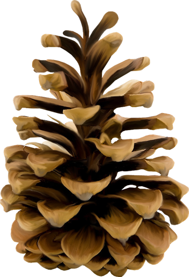 Christmas Pine Cone Png File (black)