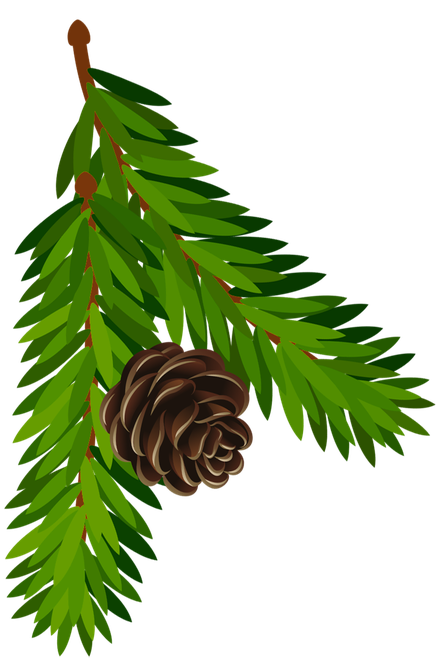 Christmas Pine Cone Png Picture (green, black, olive)