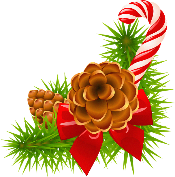 Christmas Pine Cone Png Transparent Picture (black, maroon)