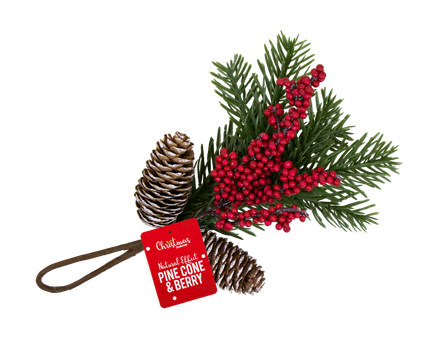 Christmas Pine Cone Png Transparent (black, red)