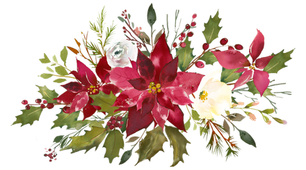 Christmas Poinsettia Png Photos (black)