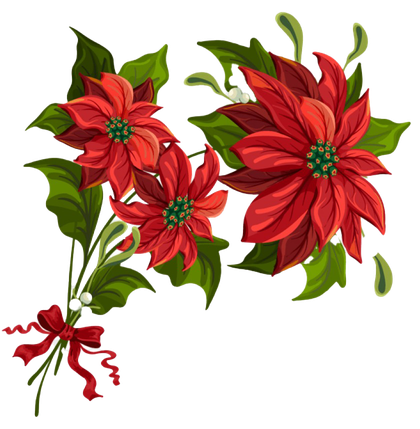 Christmas Poinsettia Png Transparent Picture (green, black, chocolate)