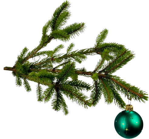 Christmas Transparent Isolated Images Png (black)