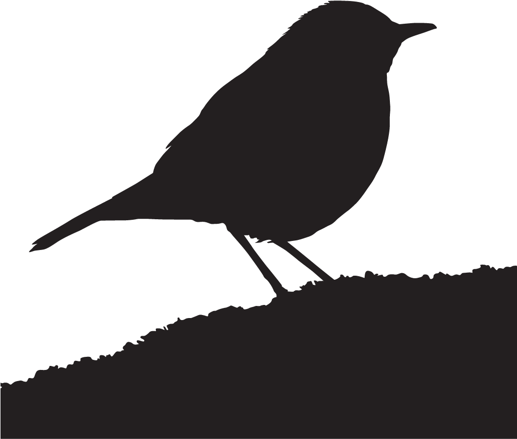 Thrushes Png Isolated File (black)