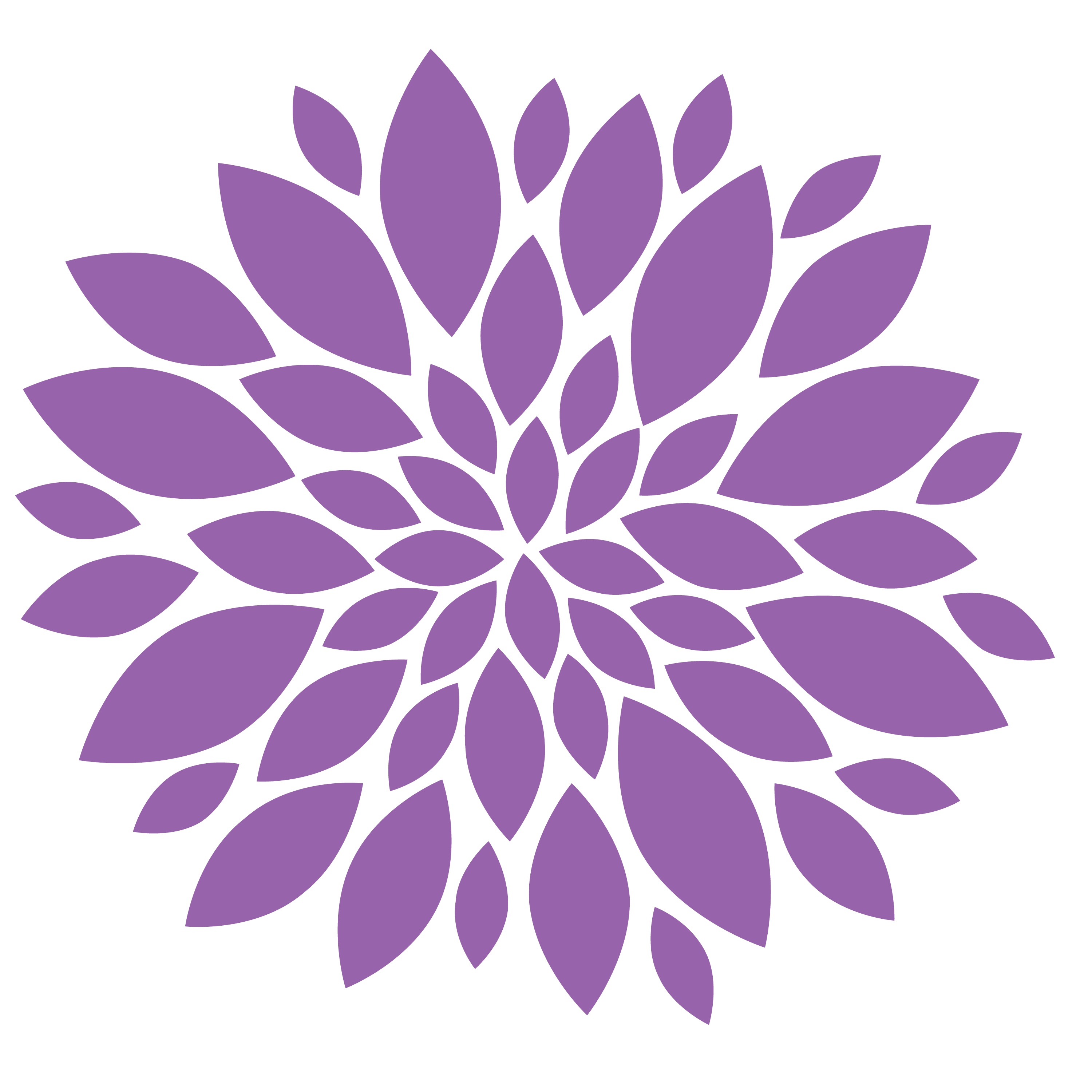 Chrysanthemum Png Image (black, gray)