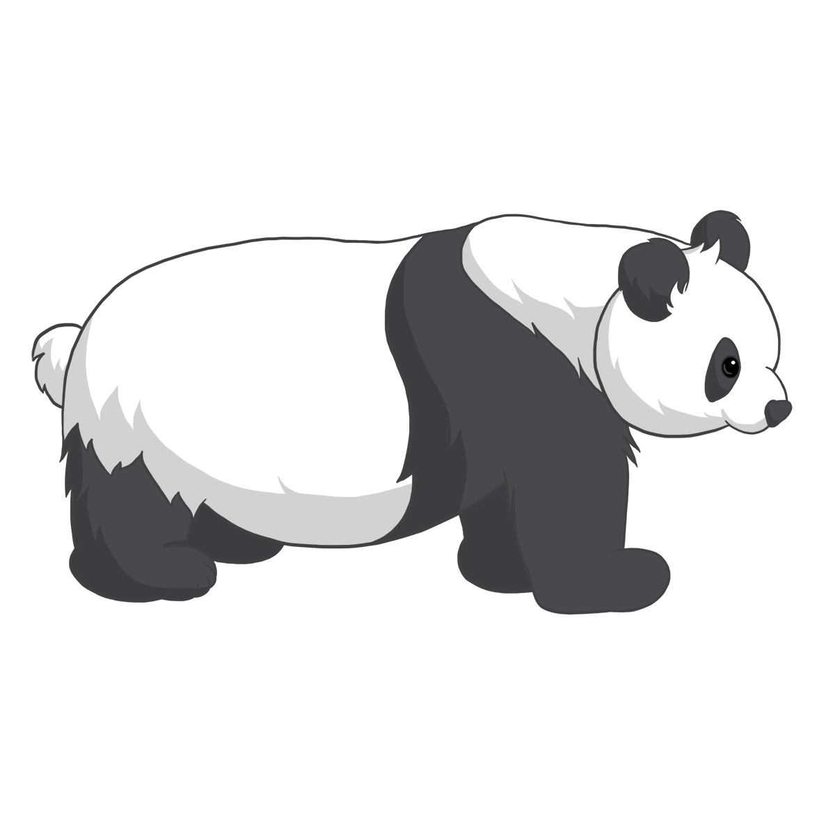 Giant Panda Png Photos (indigo, silver, lavender, white)