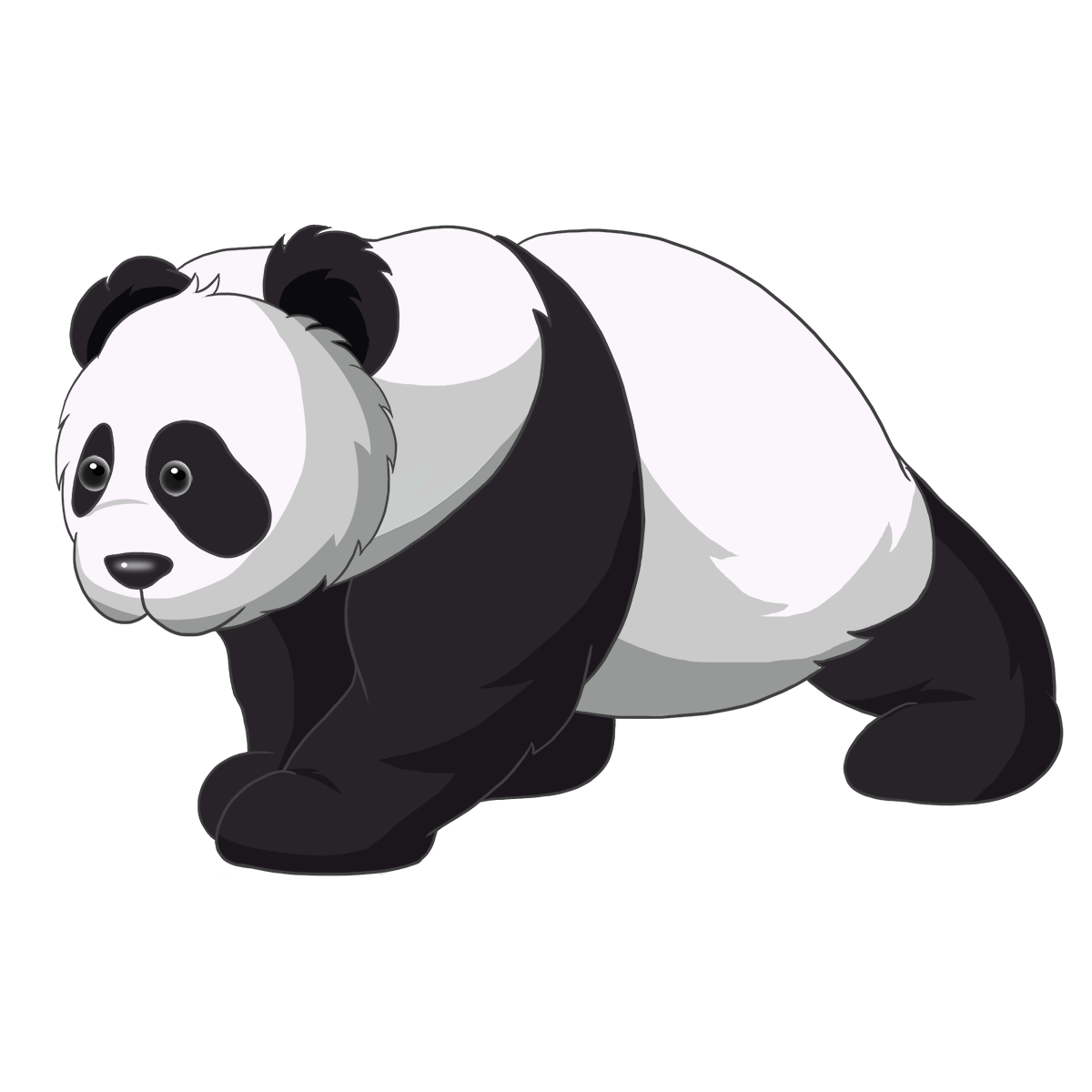 Giant Pandas Png Clipart (white, indigo, lavender, black, silver)