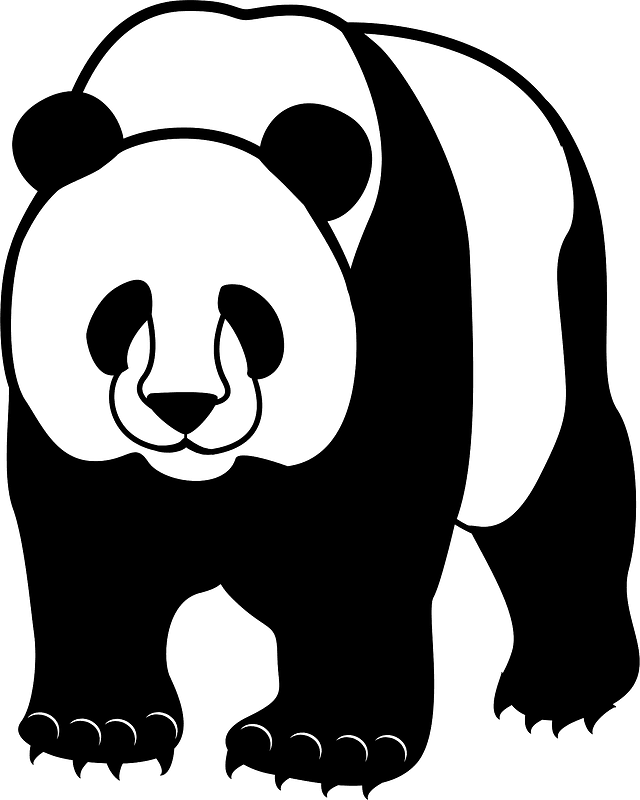 Giant Pandas Png Isolated Pic (black, gray)