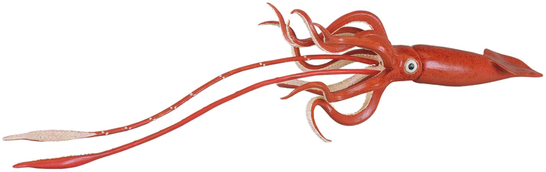 Giant Squid Png Hd (black)