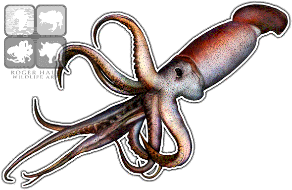 Giant Squid Png Transparent Image (lavender, silver, white)