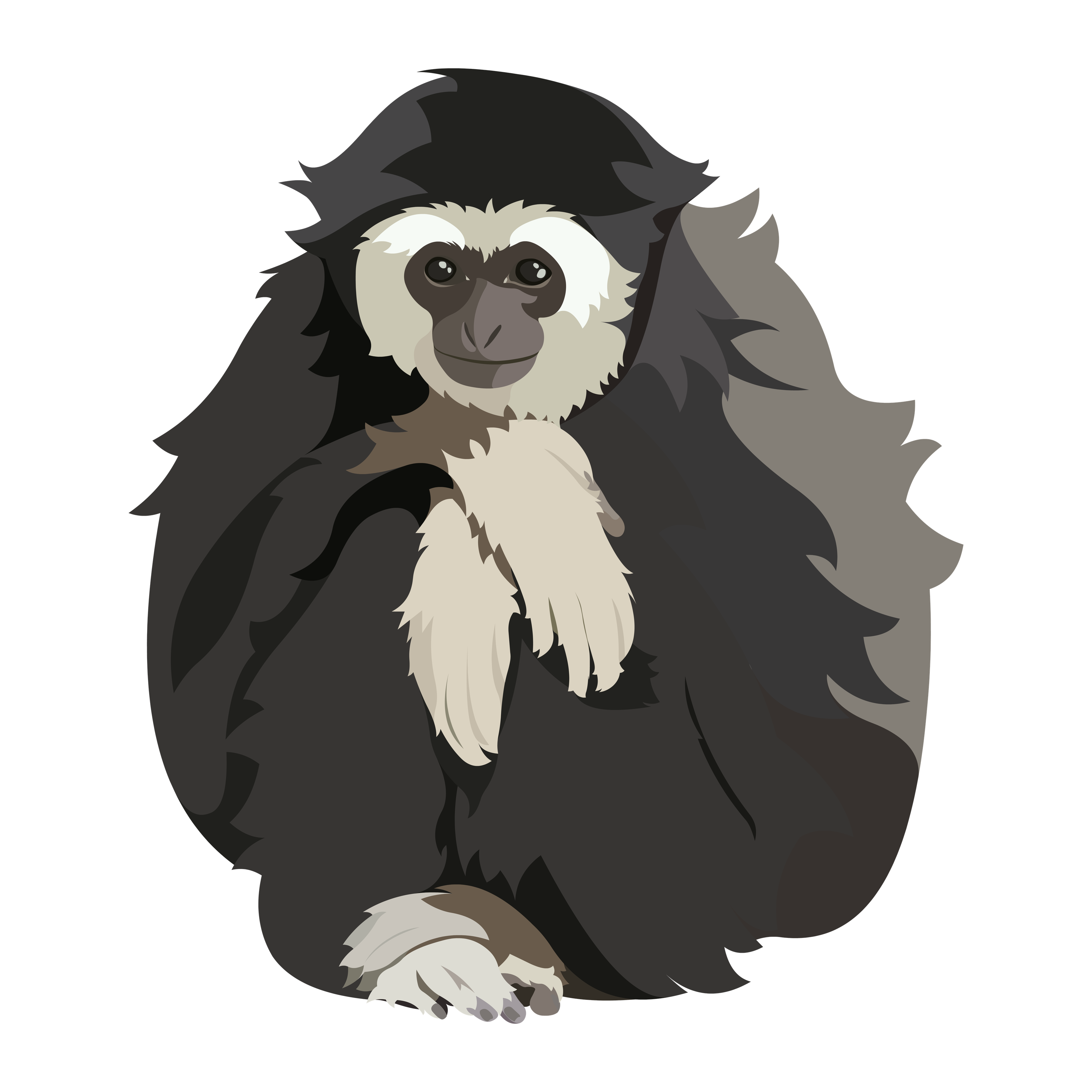 Gibbon Download Png Image (indigo, black, gray, silver)