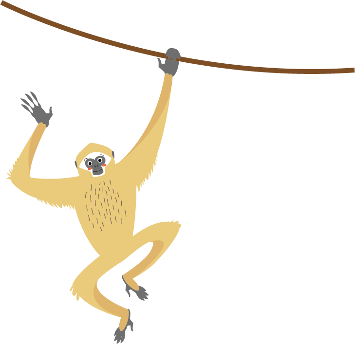 Gibbon Transparent Png (salmon, gray)