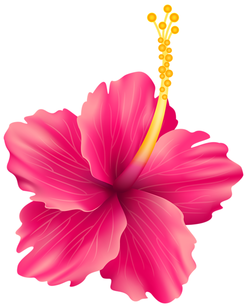 Hibiscus Png File (black, salmon)