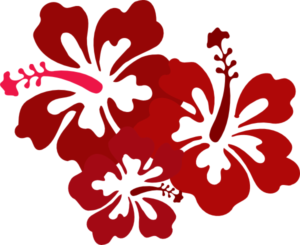 Hibiscus Png Pic (maroon, white)