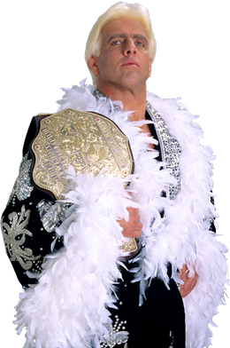 Ric Flair Png (lavender, black, white)