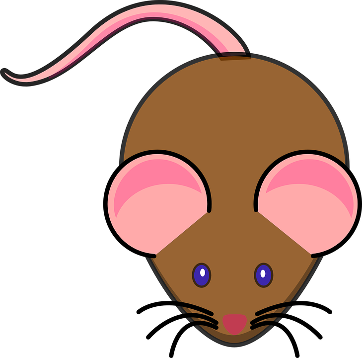 Mice Png Hd (maroon, pink, black, salmon)