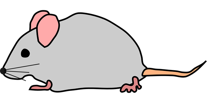 Mice Png Isolated Image (silver, pink, black)