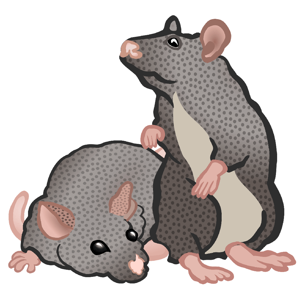 Mice Png Pic (gray, silver)