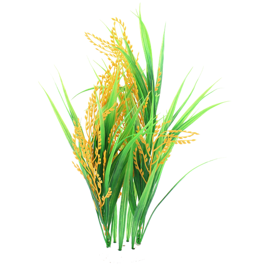 Rice Png Picture (black)