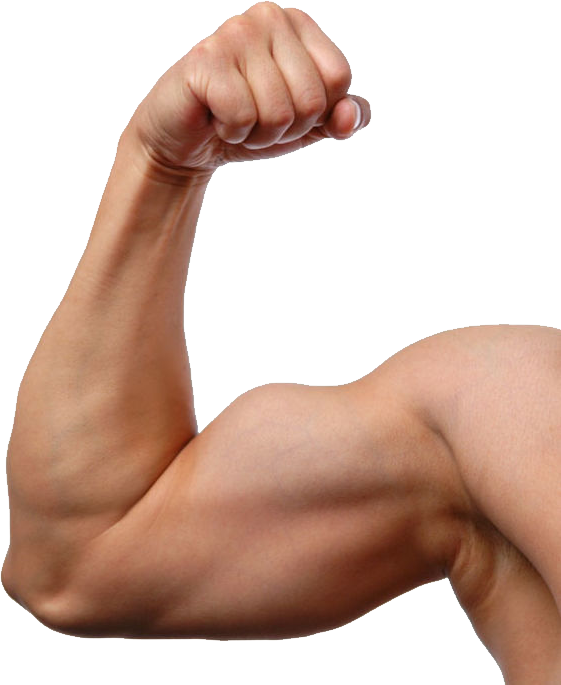 Biceps Muscle Png Pic (gray, silver, pink, black)