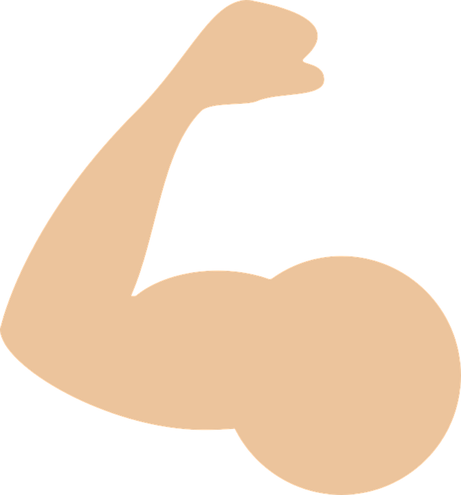 Biceps Muscle Png Transparent Image (pink, black)