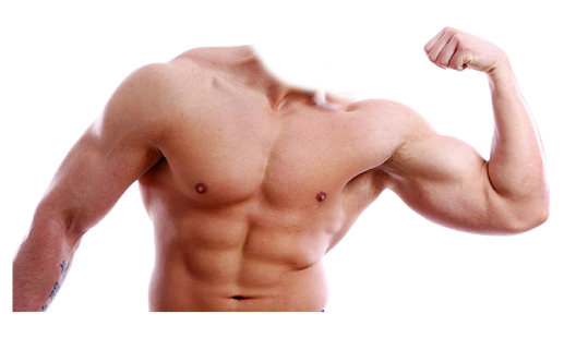 Biceps Muscle Transparent Png (white, silver)