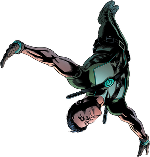 Dick Grayson Png Isolated Hd (black)