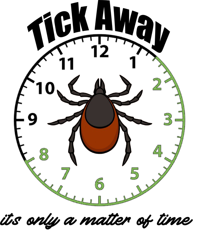 Tick Insect Download Png Isolated Image (maroon, black)