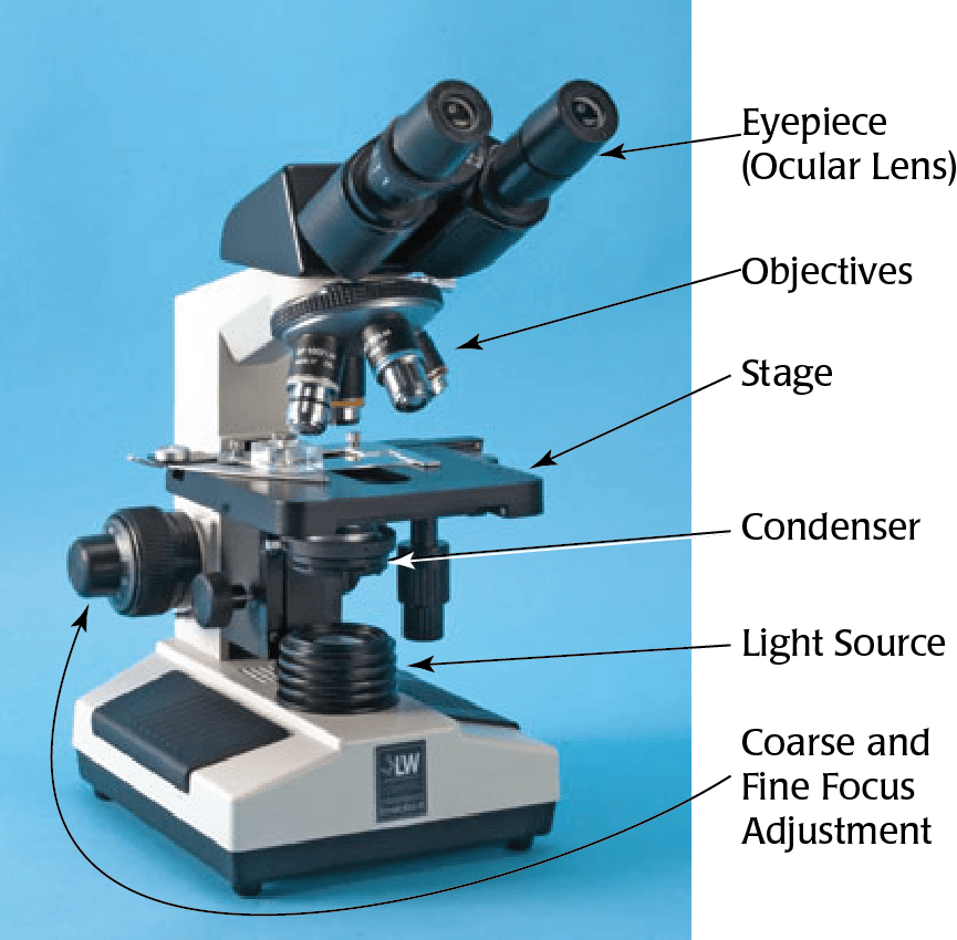 Microscope Png Pic (gray, silver)