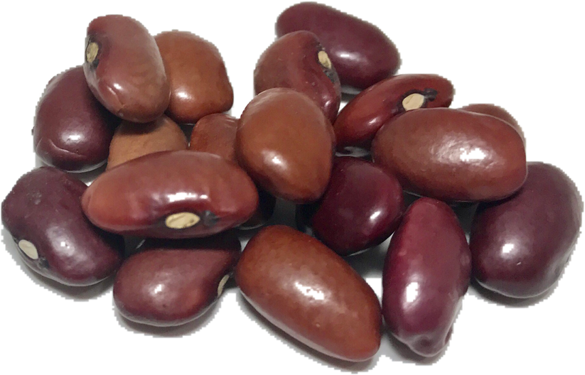 Kidney Beans Png (maroon, indigo, black)