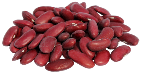 Kidney Beans Transparent Background (white, silver)