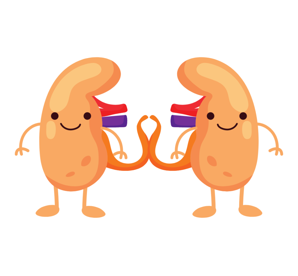 Kidney Png File (black, salmon)