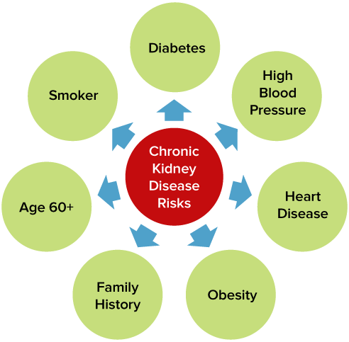 Kidney Png Isolated Photos (silver, red, black)