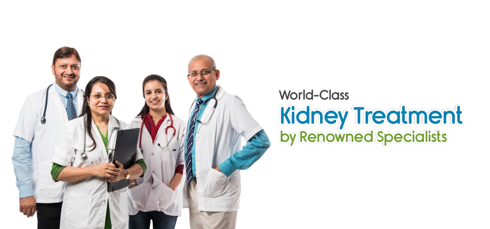 Kidney Png Isolated Pic (black, lavender)