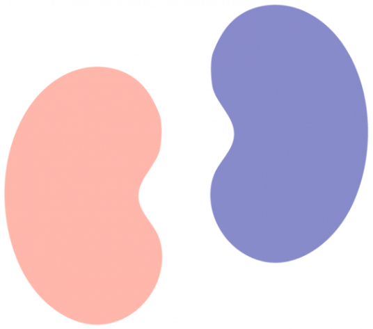 Kidney Png Pic (indigo, black, salmon)