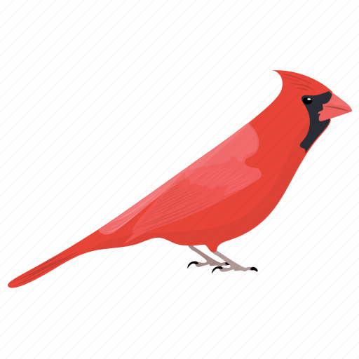 Pied Northern Cardinal Png File (black)