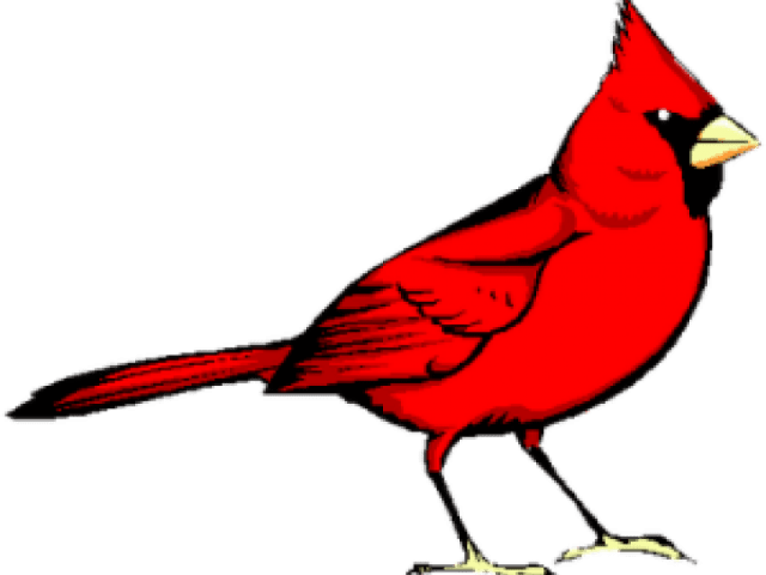 Pied Northern Cardinal Png Hd Isolated (red, black)